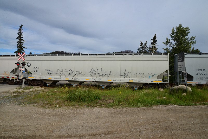 DSC_3730.JPG