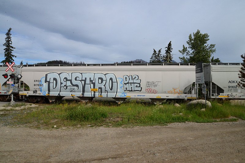 DSC_3731.JPG