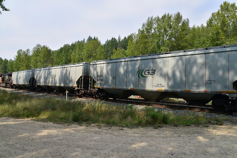 DSC_7535.JPG
