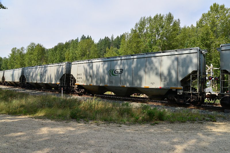DSC_7575.JPG