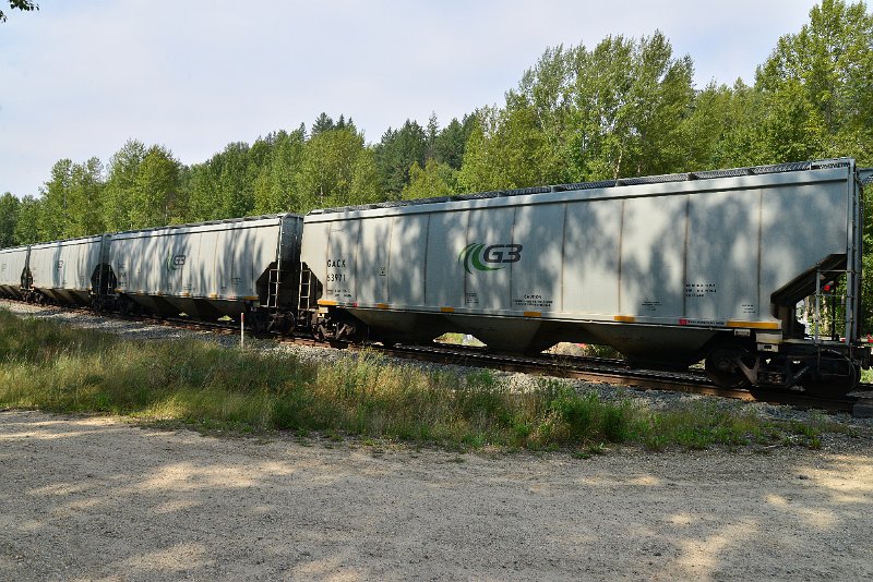 DSC_7667.JPG