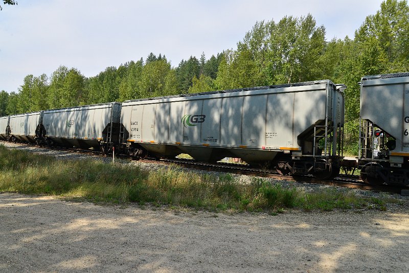 DSC_7668.JPG