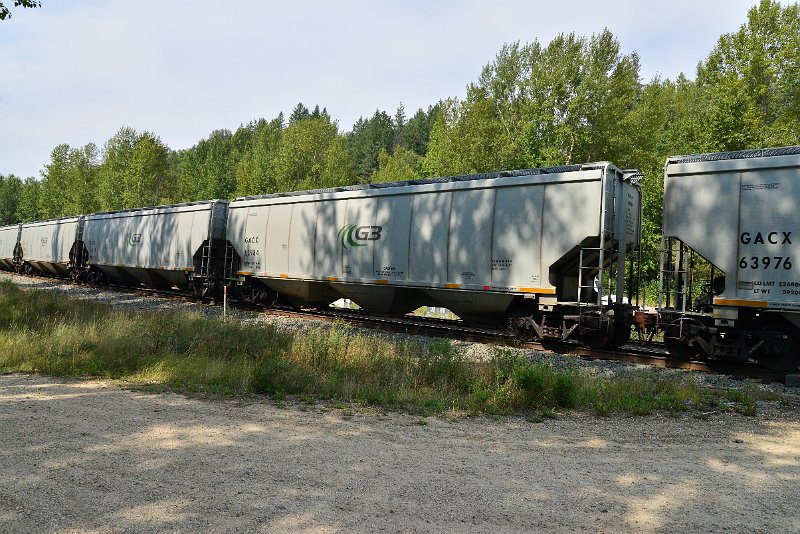 DSC_7675.JPG