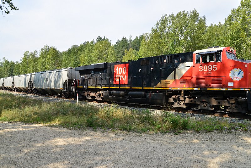 DSC_7685.JPG