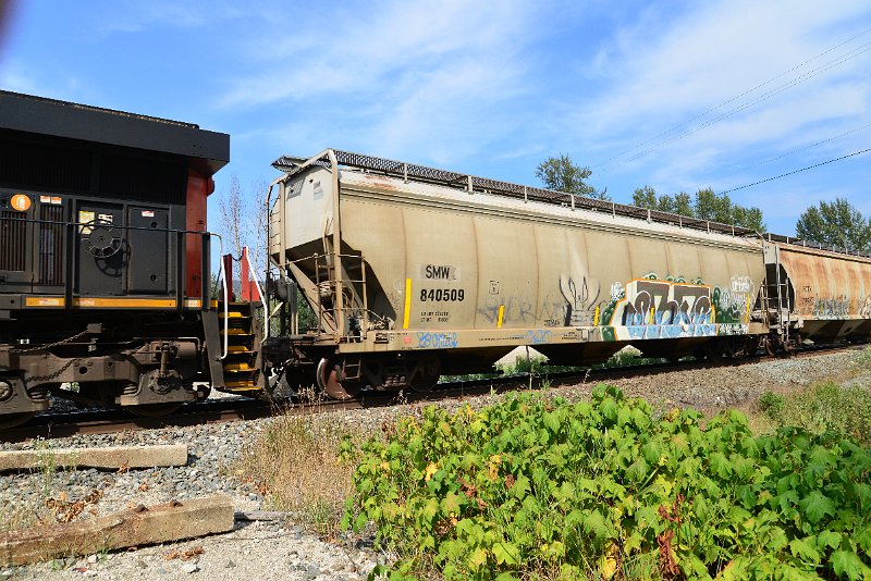 DSC_7696.JPG
