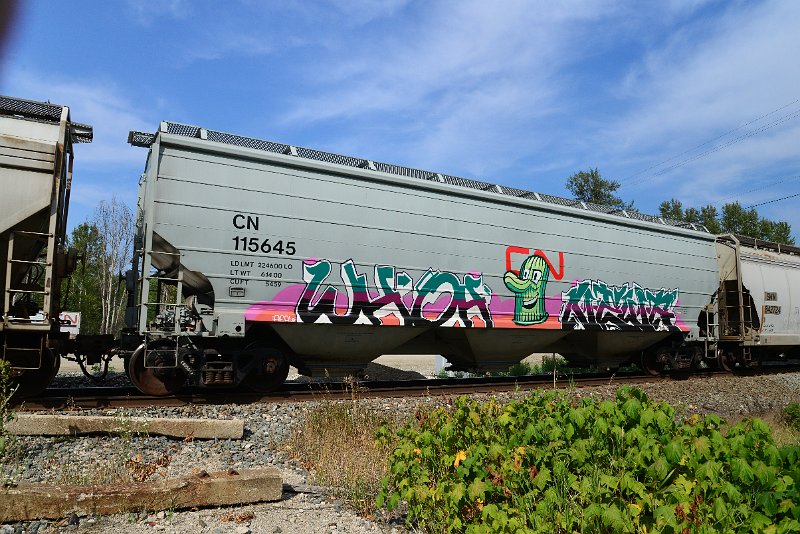 DSC_7700.JPG