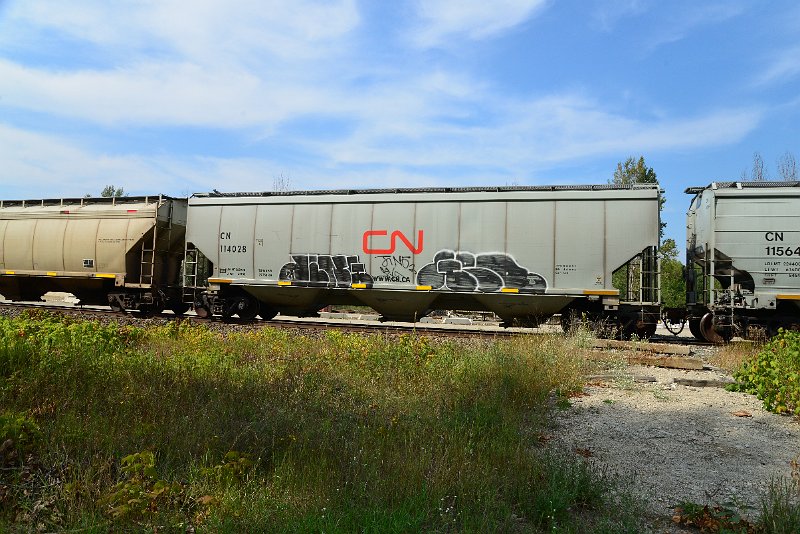 DSC_7774.JPG