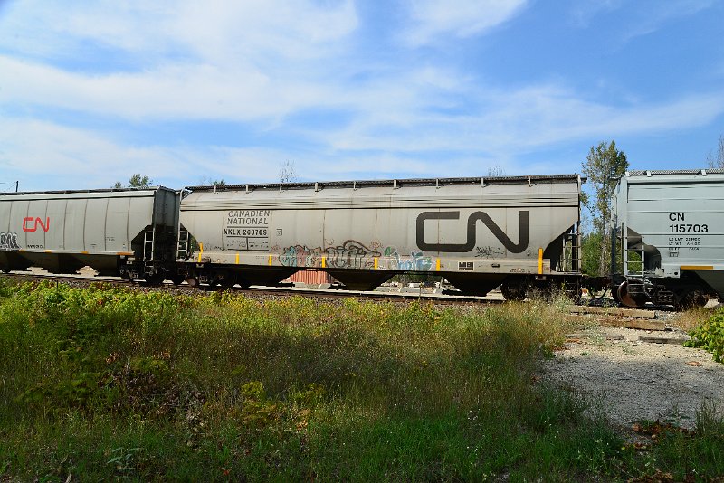 DSC_7790.JPG