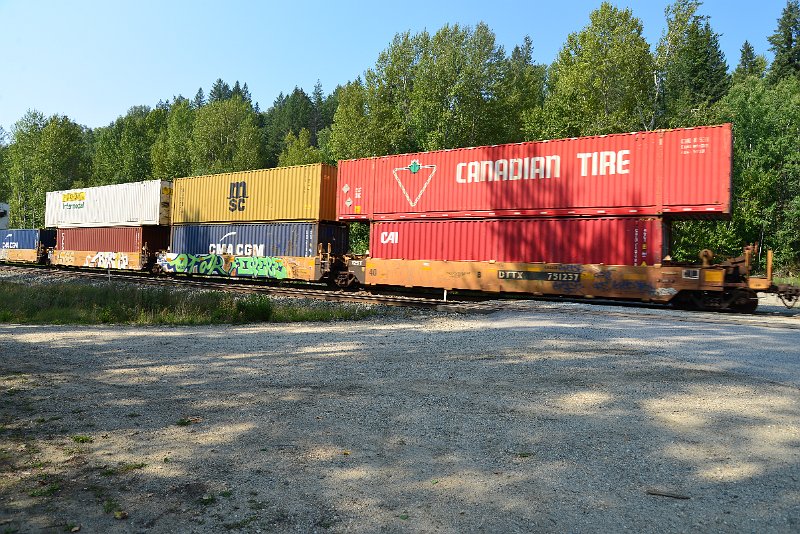 DSC_7980.JPG