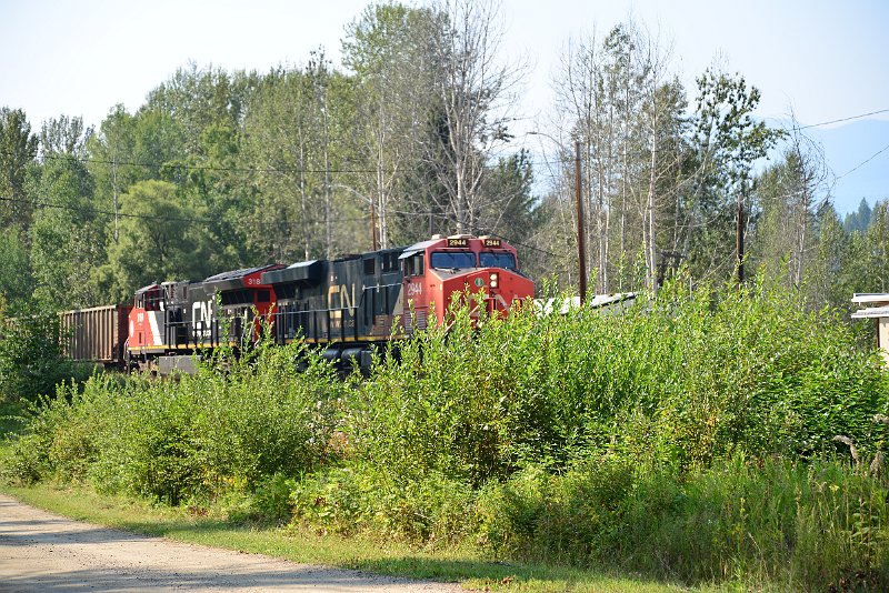 DSC_7991.JPG