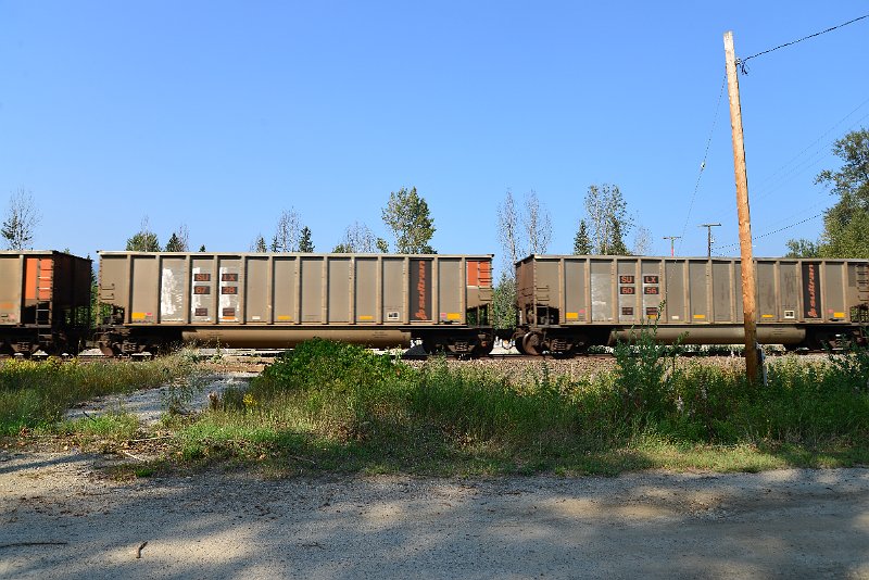 DSC_7997.JPG