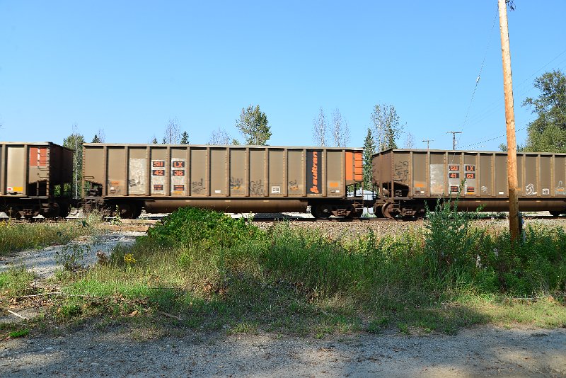 DSC_8031.JPG