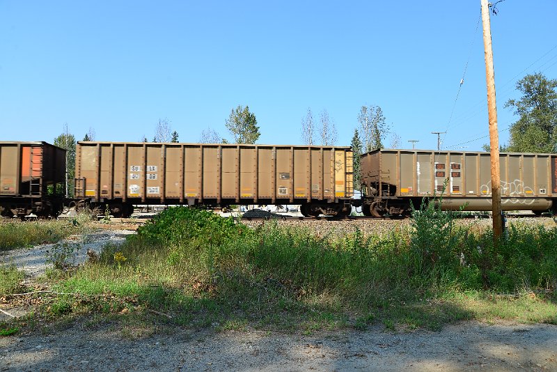 DSC_8041.JPG