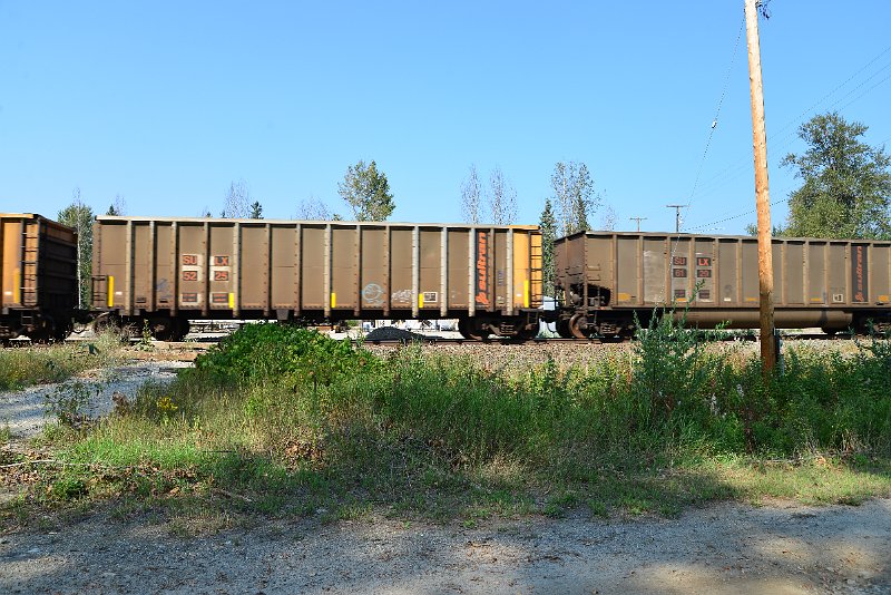 DSC_8067.JPG