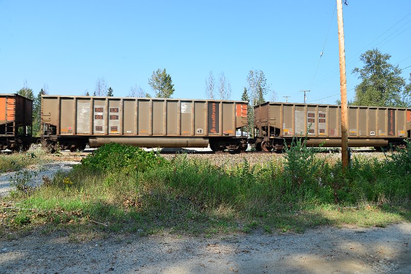 DSC_8078.JPG