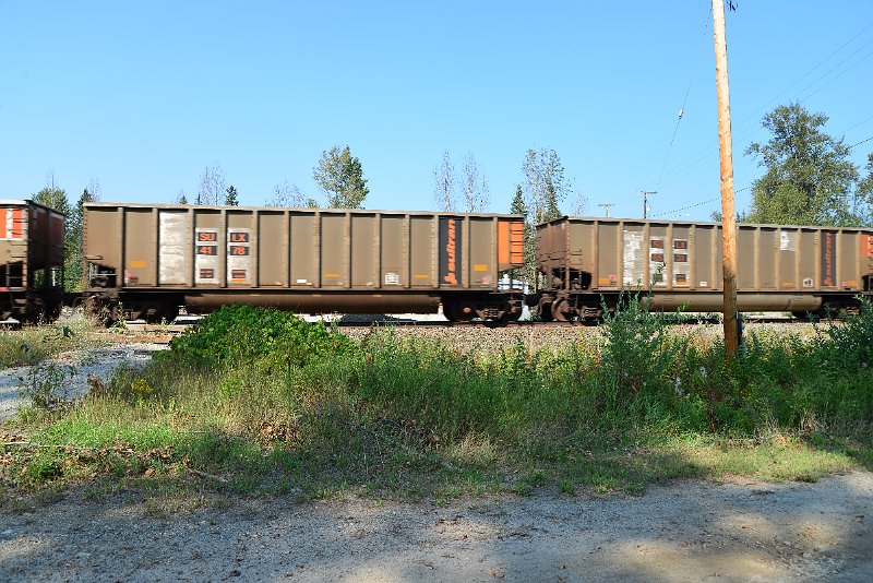 DSC_8079.JPG