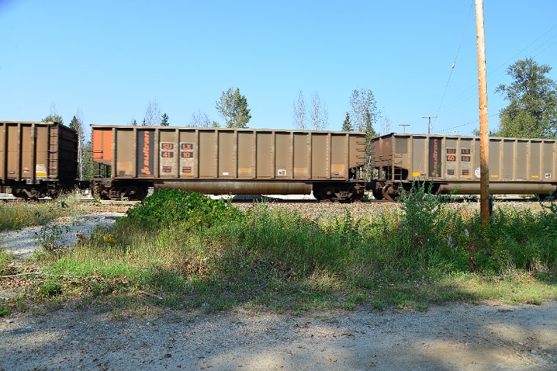 DSC_8119.JPG