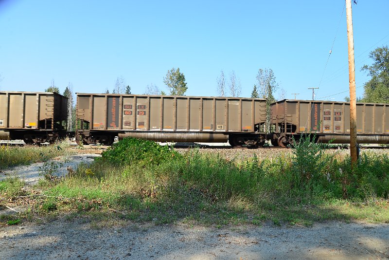 DSC_8130.JPG