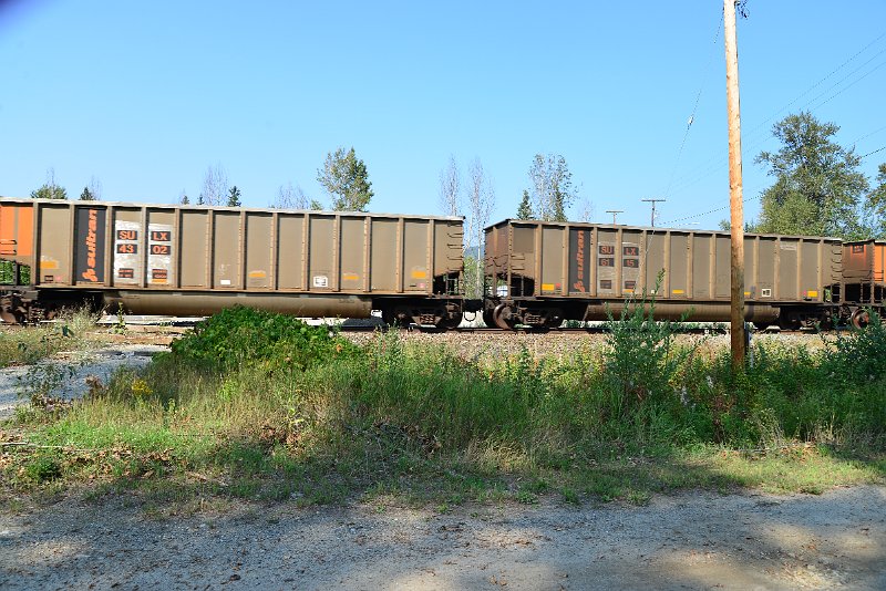 DSC_8175.JPG