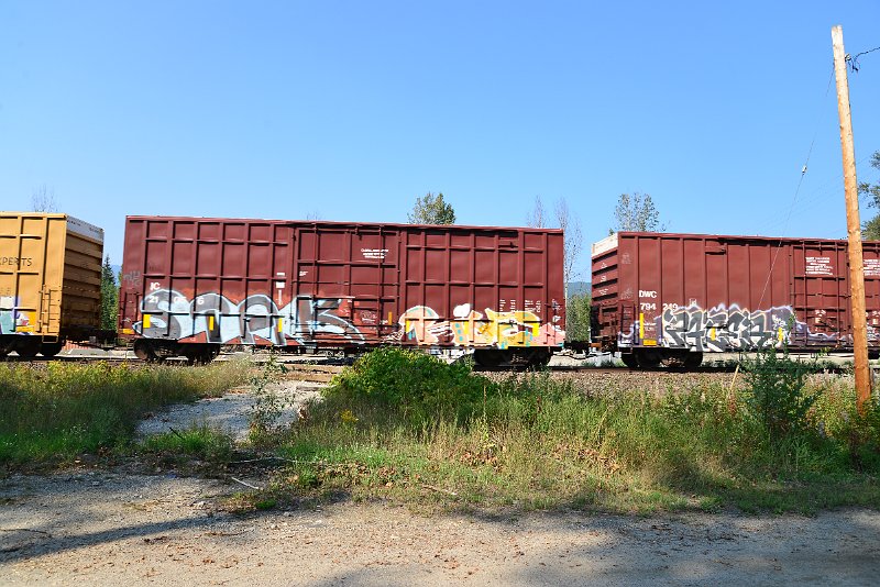 DSC_8212.JPG