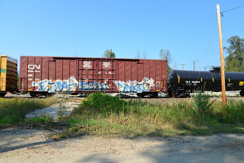 DSC_8275.JPG