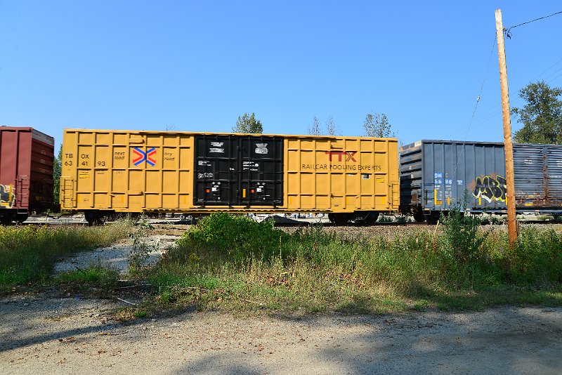 DSC_8285.JPG