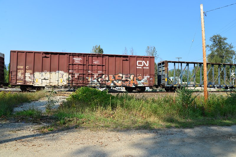 DSC_8329.JPG