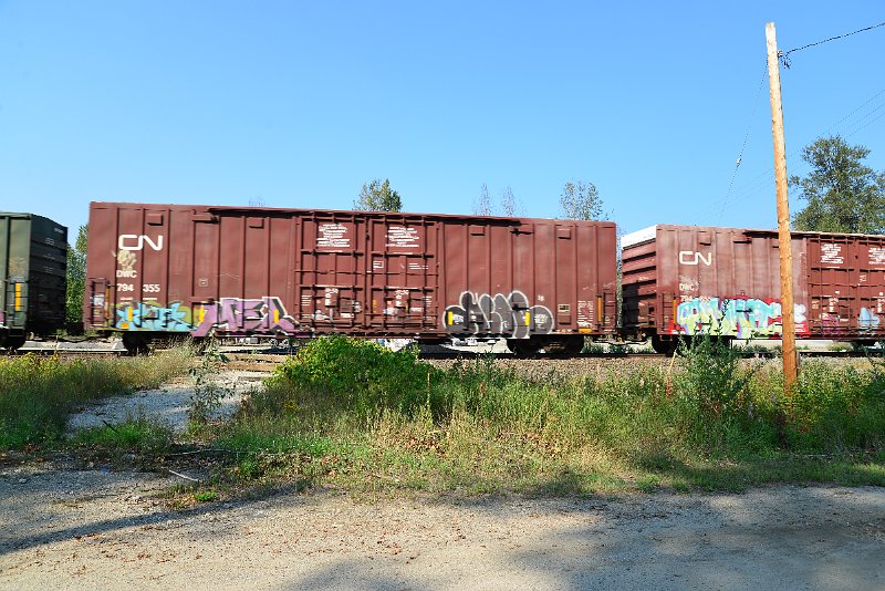 DSC_8333.JPG