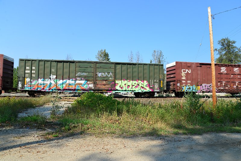 DSC_8334.JPG