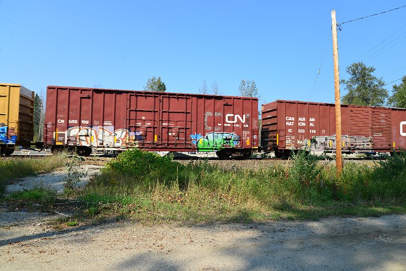 DSC_8360.JPG