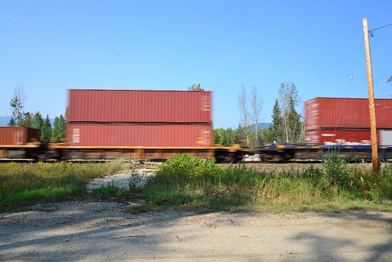 DSC_8395.JPG