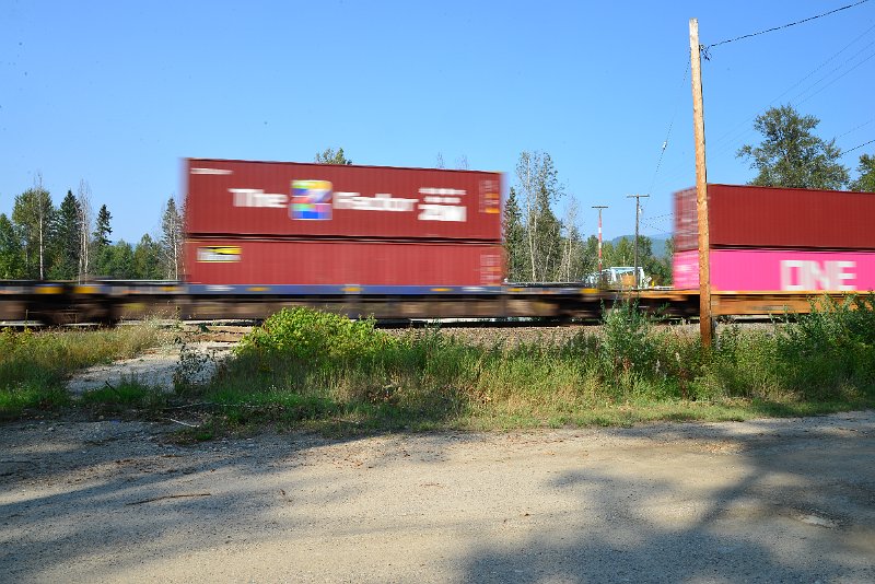 DSC_8451.JPG