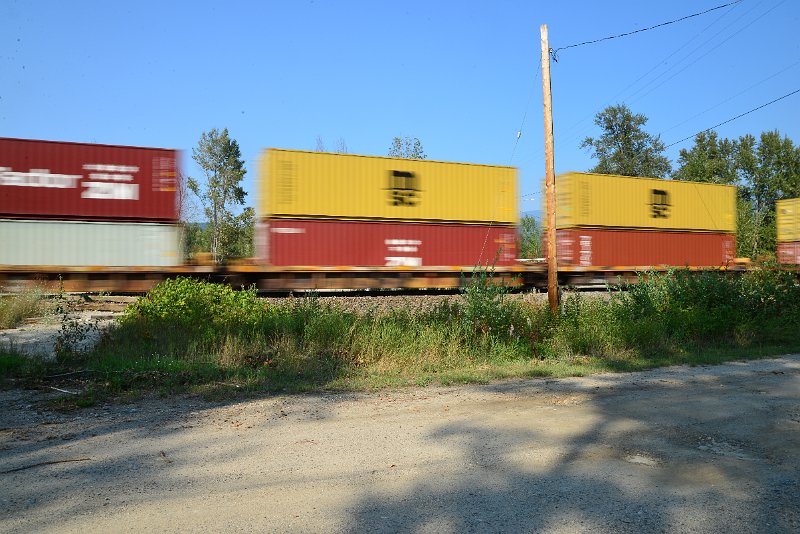 DSC_8496.JPG