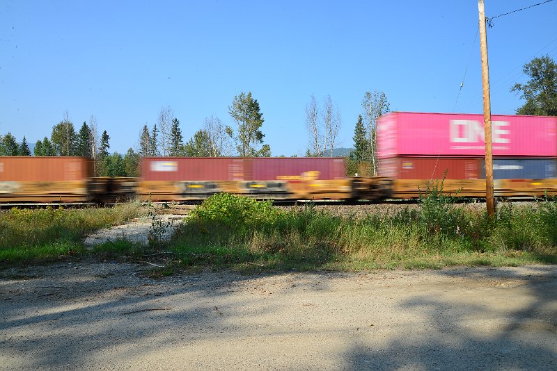 DSC_8513.JPG