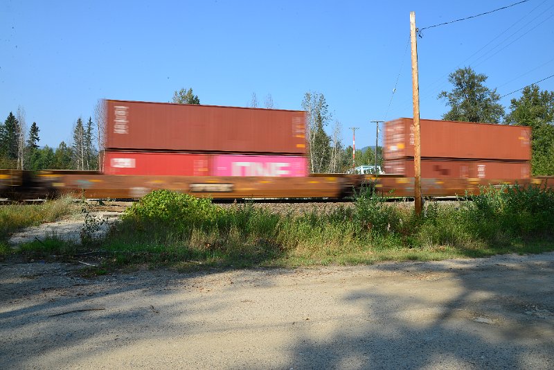 DSC_8553.JPG