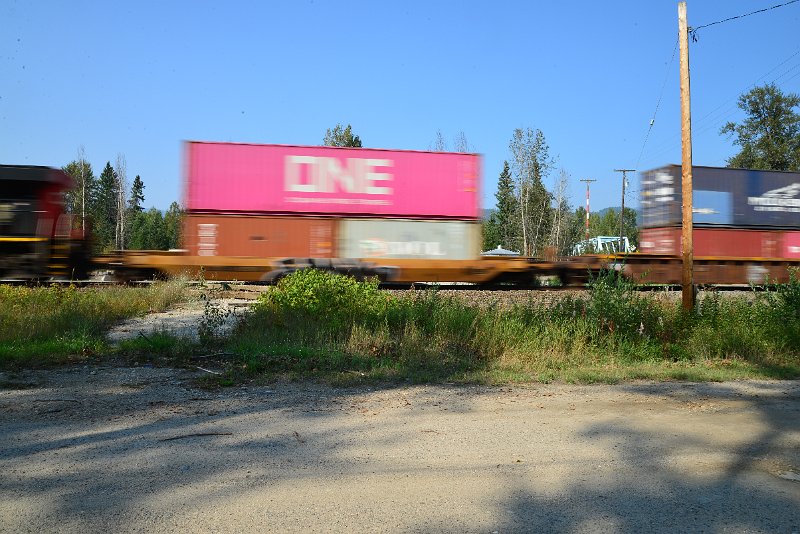 DSC_8574.JPG