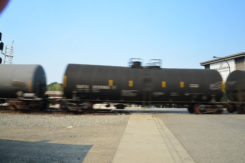 DSC_8684.JPG