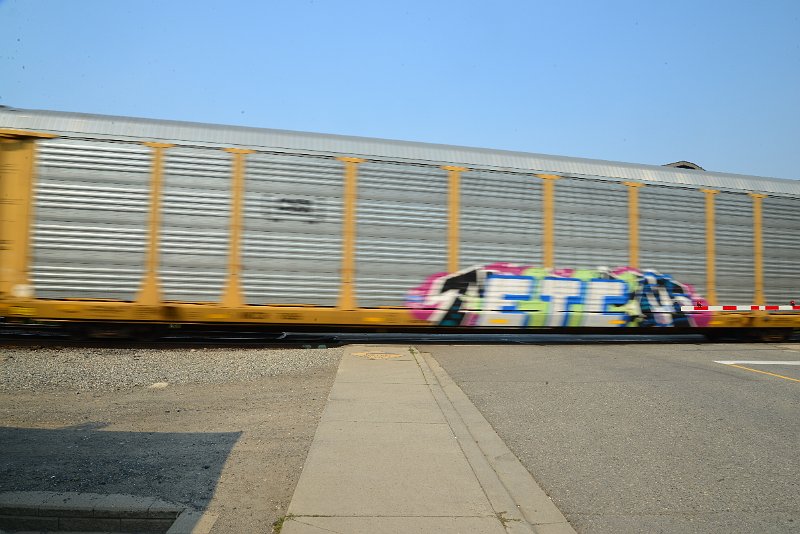 DSC_8701.JPG