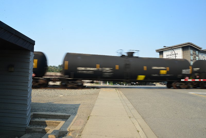 DSC_8753.JPG