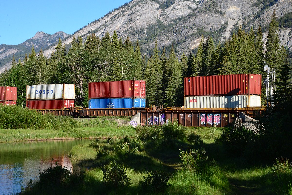 DSC_2150.JPG