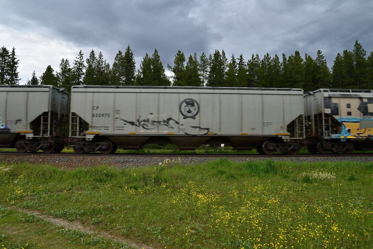 DSC_2833.JPG