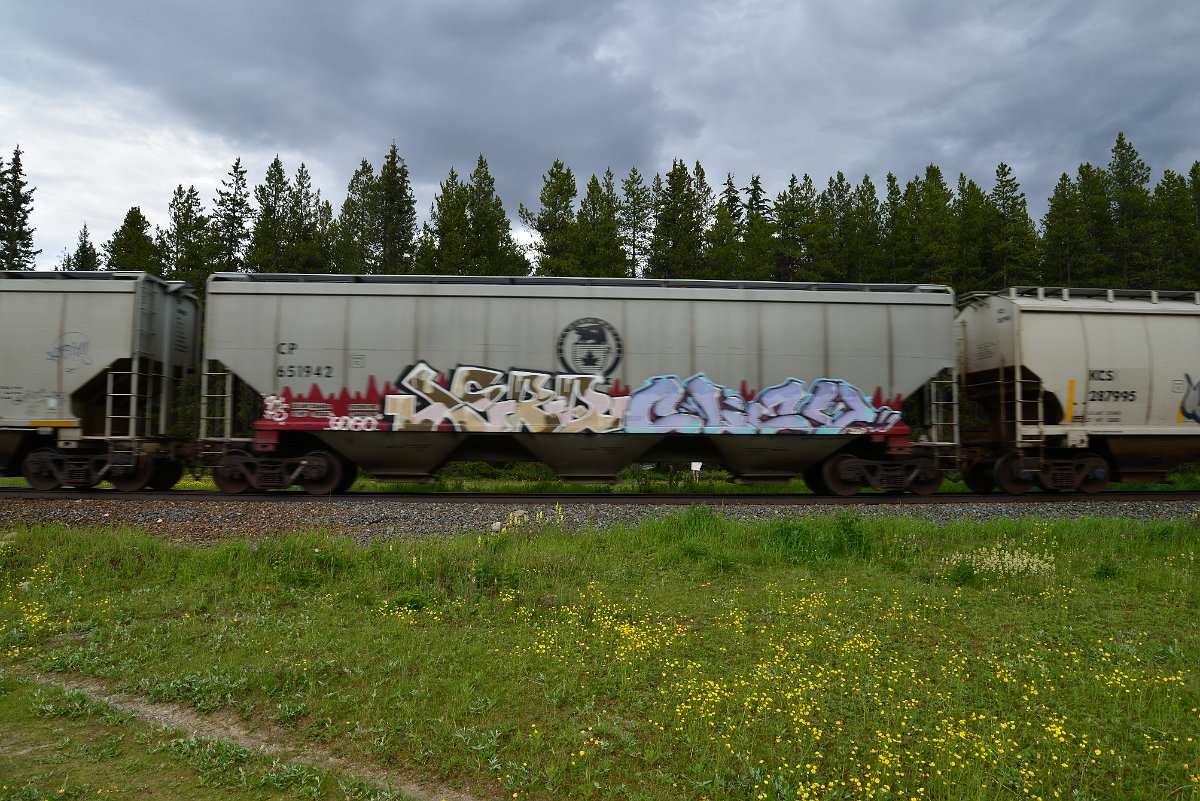DSC_2840.JPG
