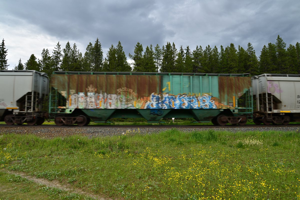 DSC_2843.JPG