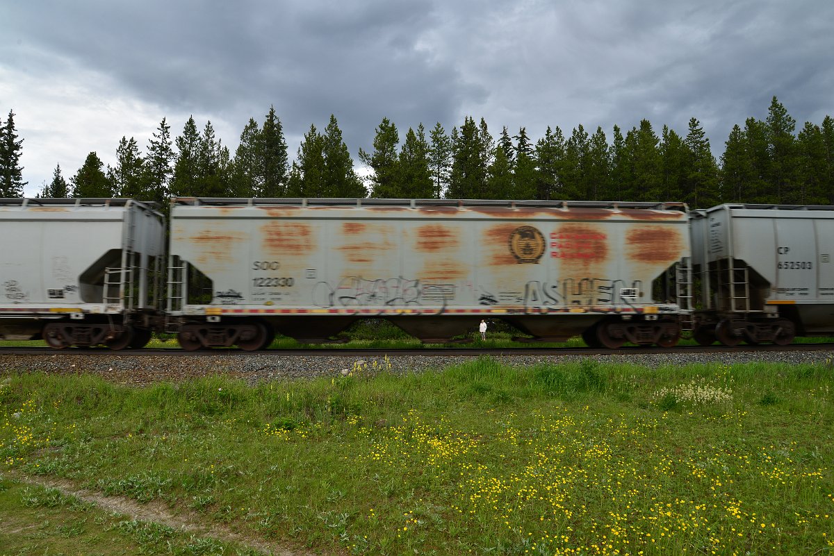 DSC_2845.JPG
