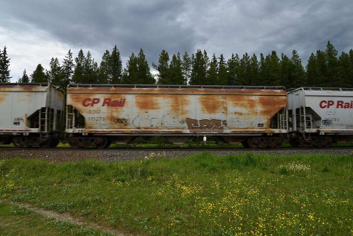 DSC_2847.JPG