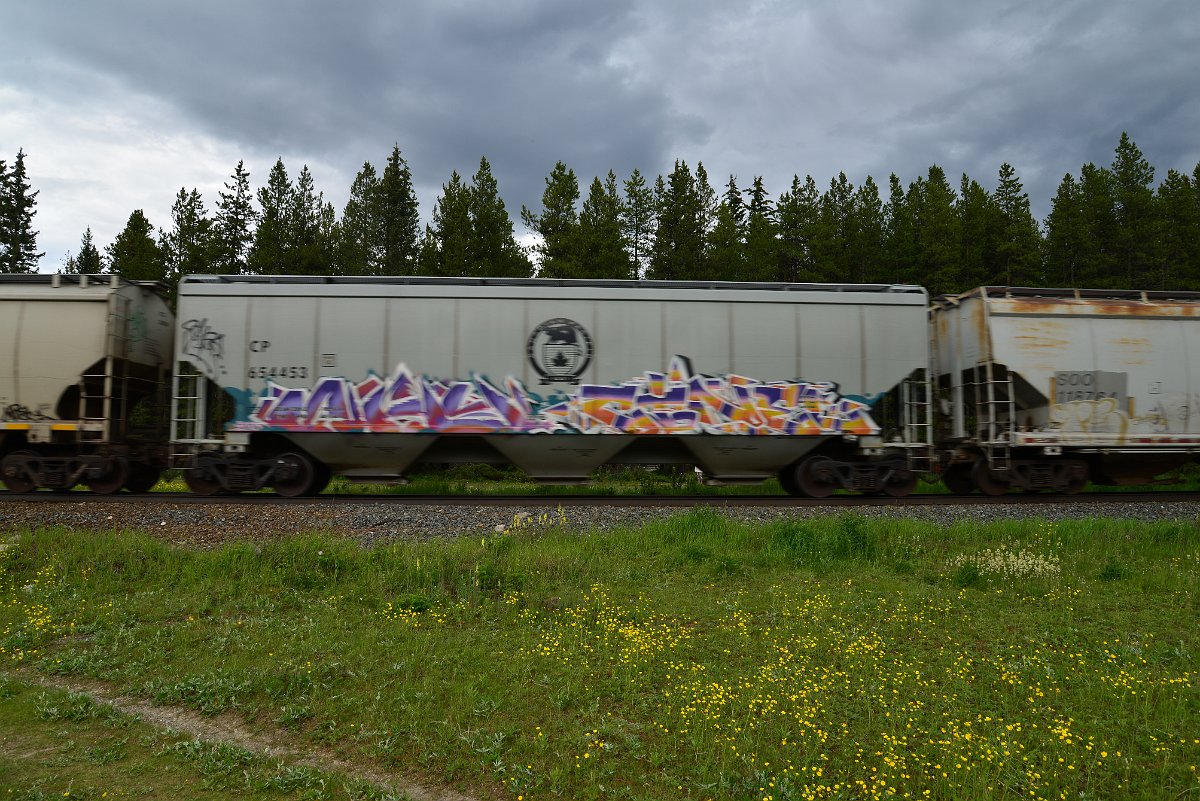 DSC_2849.JPG