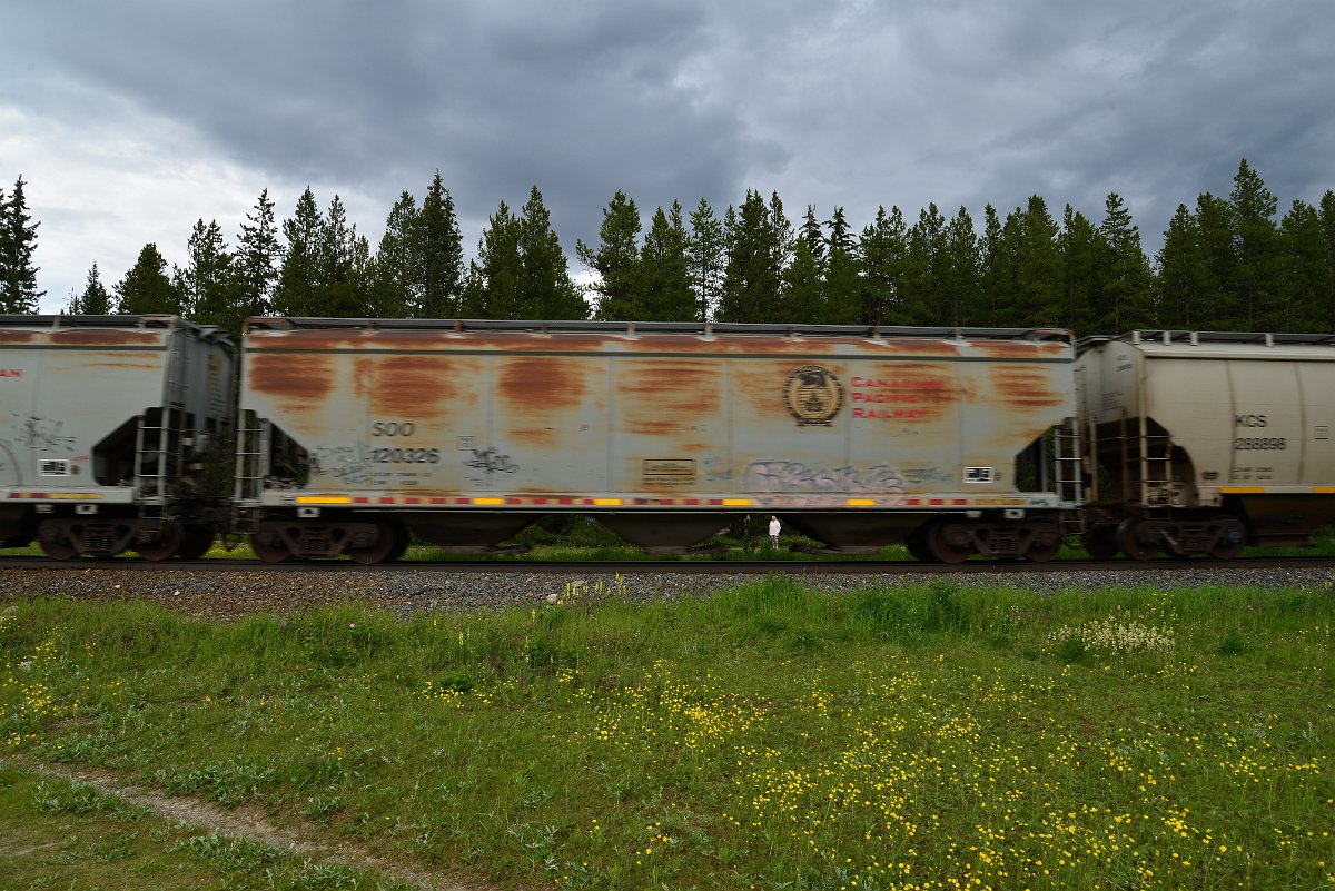 DSC_2851.JPG