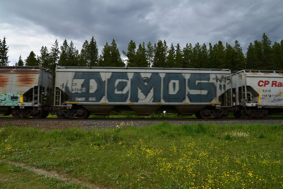 DSC_2861.JPG