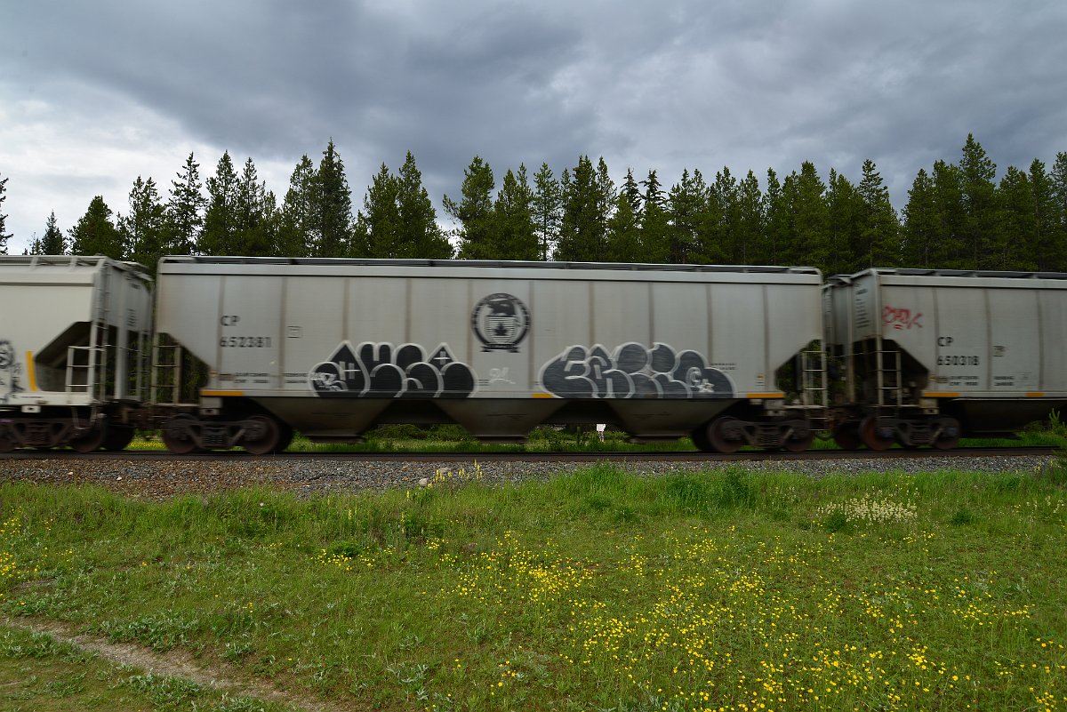 DSC_2884.JPG