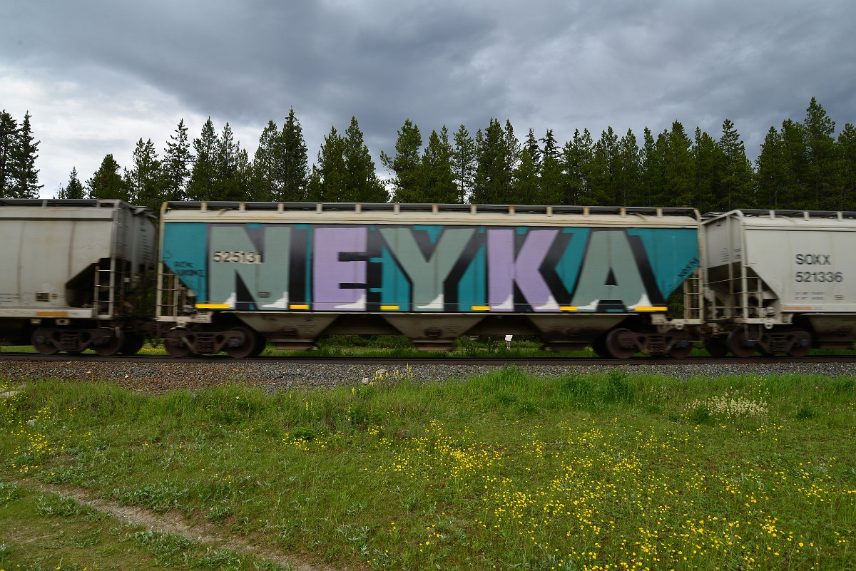DSC_2890.JPG